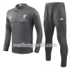 Liverpool Ensemble Sweat d'entrainement Gris 2018/19